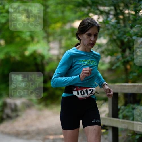 28.09.2025 - 33. Volkslauf durch das schöne Alstertal Patografie http://msf.ph/oto/8966780 28.09.2025 10:13:04 Laufen 1012 meine-sportfotos.de