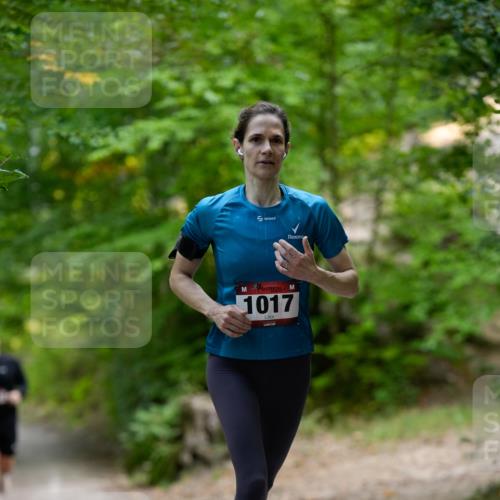 28.09.2025 - 33. Volkslauf durch das schöne Alstertal Patografie http://msf.ph/oto/8966781 28.09.2025 10:13:16 Laufen 1017 meine-sportfotos.de