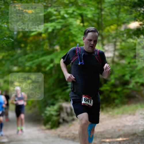 28.09.2025 - 33. Volkslauf durch das schöne Alstertal Patografie http://msf.ph/oto/8966782 28.09.2025 10:13:24 Laufen 647 meine-sportfotos.de