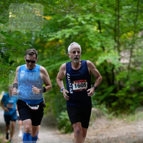 28.09.2025 - 33. Volkslauf durch das schöne Alstertal Patografie http://msf.ph/oto/8966784 28.09.2025 10:13:28 Laufen 609, 1605 meine-sportfotos.de