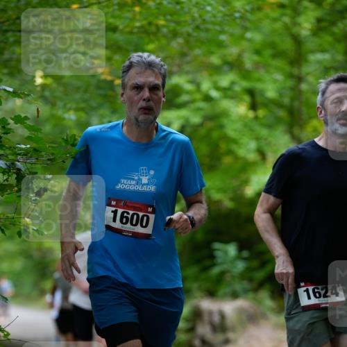 28.09.2025 - 33. Volkslauf durch das schöne Alstertal Patografie http://msf.ph/oto/8966787 28.09.2025 10:13:32 Laufen 1600, 1624 meine-sportfotos.de