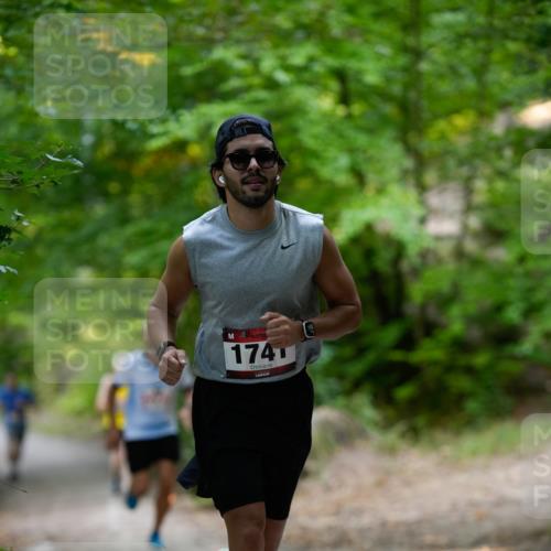 28.09.2025 - 33. Volkslauf durch das schöne Alstertal Patografie http://msf.ph/oto/8966788 28.09.2025 10:13:36 Laufen 1741 meine-sportfotos.de
