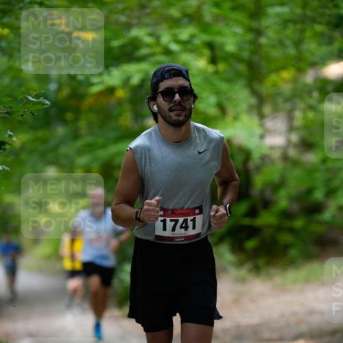 28.09.2025 - 33. Volkslauf durch das schöne Alstertal Patografie http://msf.ph/oto/8966789 28.09.2025 10:13:36 Laufen 1741 meine-sportfotos.de