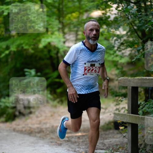 28.09.2025 - 33. Volkslauf durch das schöne Alstertal Patografie http://msf.ph/oto/8966791 28.09.2025 10:13:38 Laufen 2229 meine-sportfotos.de
