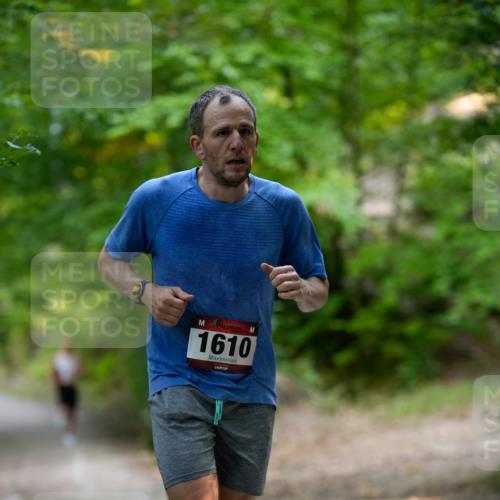 28.09.2025 - 33. Volkslauf durch das schöne Alstertal Patografie http://msf.ph/oto/8966792 28.09.2025 10:13:44 Laufen 1610 meine-sportfotos.de