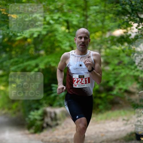 28.09.2025 - 33. Volkslauf durch das schöne Alstertal Patografie http://msf.ph/oto/8966794 28.09.2025 10:13:50 Laufen 2241 meine-sportfotos.de