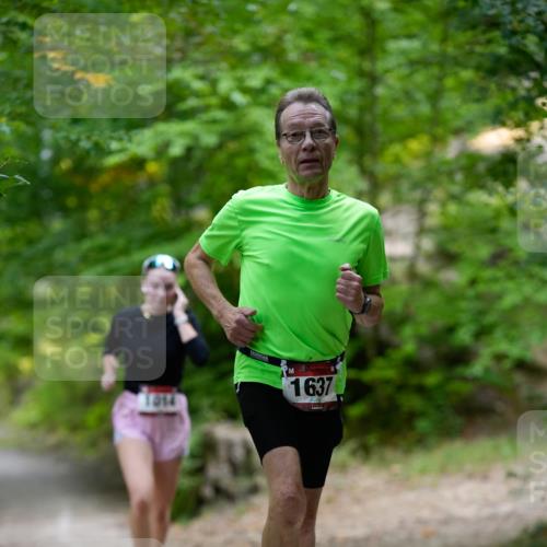 28.09.2025 - 33. Volkslauf durch das schöne Alstertal Patografie http://msf.ph/oto/8966795 28.09.2025 10:13:59 Laufen 014, 1637 meine-sportfotos.de