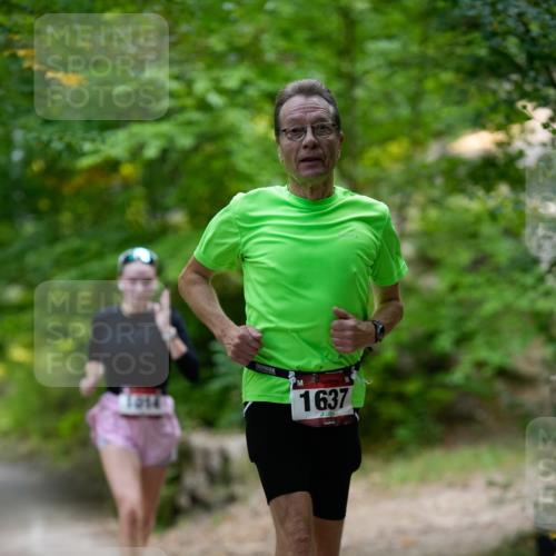 28.09.2025 - 33. Volkslauf durch das schöne Alstertal Patografie http://msf.ph/oto/8966796 28.09.2025 10:13:59 Laufen 1914, 1637 meine-sportfotos.de