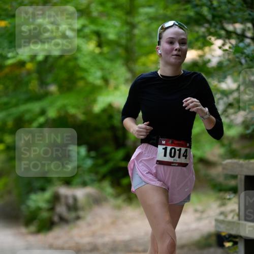 28.09.2025 - 33. Volkslauf durch das schöne Alstertal Patografie http://msf.ph/oto/8966798 28.09.2025 10:14:01 Laufen 1014 meine-sportfotos.de