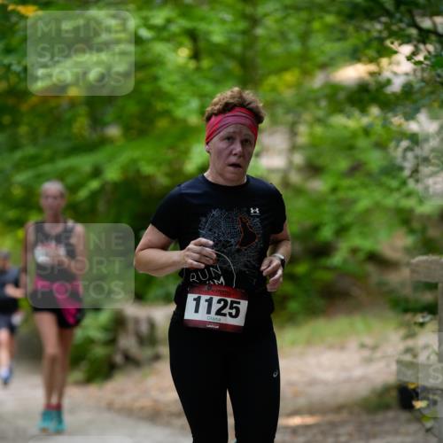 28.09.2025 - 33. Volkslauf durch das schöne Alstertal Patografie http://msf.ph/oto/8966800 28.09.2025 10:14:22 Laufen 1125 meine-sportfotos.de