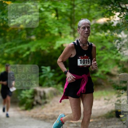 28.09.2025 - 33. Volkslauf durch das schöne Alstertal Patografie http://msf.ph/oto/8966802 28.09.2025 10:14:24 Laufen 1019 meine-sportfotos.de