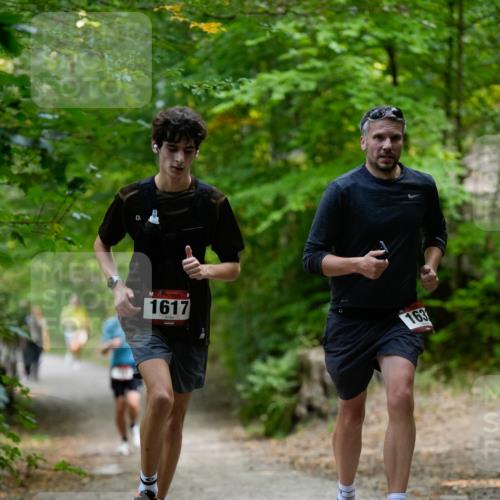 28.09.2025 - 33. Volkslauf durch das schöne Alstertal Patografie http://msf.ph/oto/8966803 28.09.2025 10:14:27 Laufen 1617, 163 meine-sportfotos.de