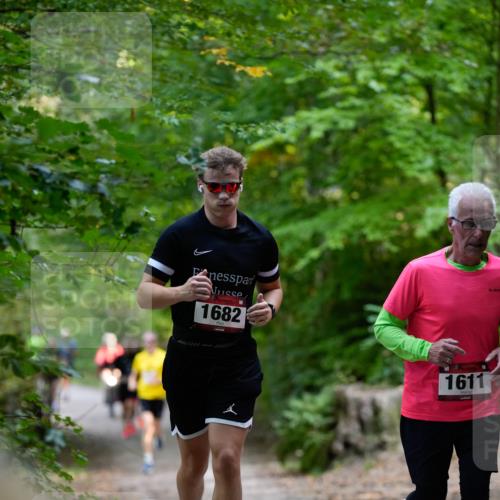28.09.2025 - 33. Volkslauf durch das schöne Alstertal Patografie http://msf.ph/oto/8966808 28.09.2025 10:15:17 Laufen 1682, 1611 meine-sportfotos.de
