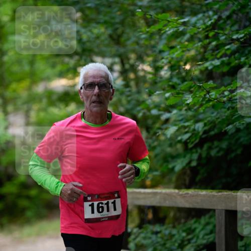 28.09.2025 - 33. Volkslauf durch das schöne Alstertal Patografie http://msf.ph/oto/8966809 28.09.2025 10:15:18 Laufen 1611 meine-sportfotos.de