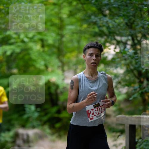 28.09.2025 - 33. Volkslauf durch das schöne Alstertal Patografie http://msf.ph/oto/8966811 28.09.2025 10:15:22 Laufen 2605 meine-sportfotos.de