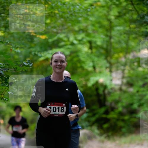 28.09.2025 - 33. Volkslauf durch das schöne Alstertal Patografie http://msf.ph/oto/8966815 28.09.2025 10:15:30 Laufen 018 meine-sportfotos.de