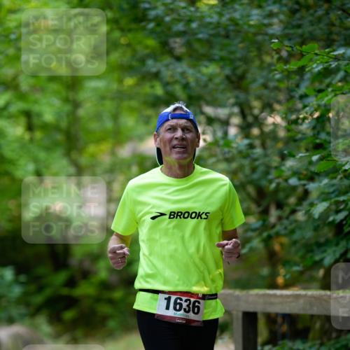 28.09.2025 - 33. Volkslauf durch das schöne Alstertal Patografie http://msf.ph/oto/8966817 28.09.2025 10:15:32 Laufen 1636 meine-sportfotos.de