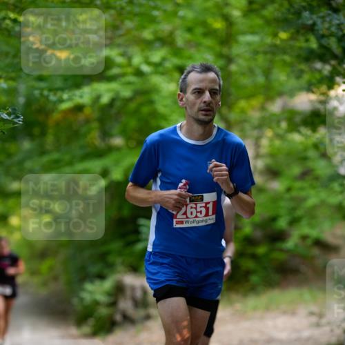 28.09.2025 - 33. Volkslauf durch das schöne Alstertal Patografie http://msf.ph/oto/8966819 28.09.2025 10:16:11 Laufen 2651 meine-sportfotos.de