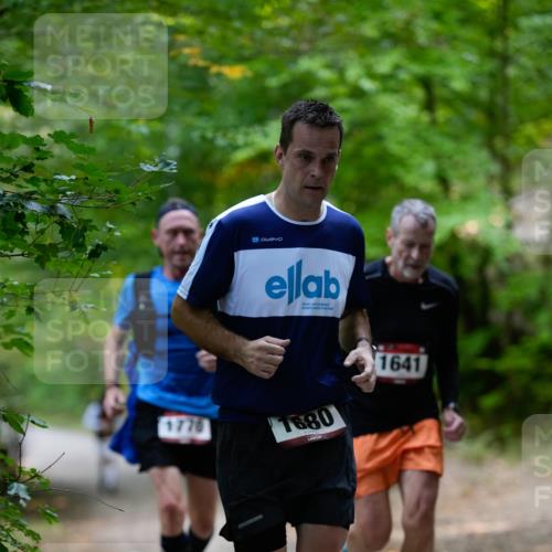 28.09.2025 - 33. Volkslauf durch das schöne Alstertal Patografie http://msf.ph/oto/8966821 28.09.2025 10:16:52 Laufen 1680, 1641 meine-sportfotos.de