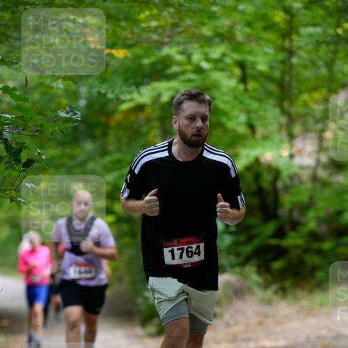 28.09.2025 - 33. Volkslauf durch das schöne Alstertal Patografie http://msf.ph/oto/8966825 28.09.2025 10:17:09 Laufen 1764 meine-sportfotos.de