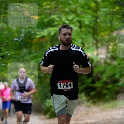 28.09.2025 - 33. Volkslauf durch das schöne Alstertal Patografie http://msf.ph/oto/8966827 28.09.2025 10:17:09 Laufen 1764 meine-sportfotos.de