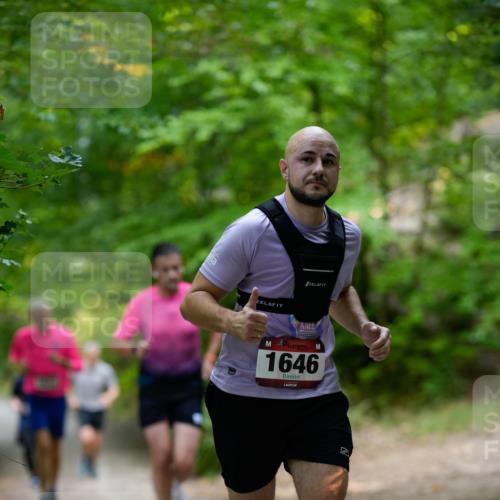 28.09.2025 - 33. Volkslauf durch das schöne Alstertal Patografie http://msf.ph/oto/8966828 28.09.2025 10:17:11 Laufen 1646 meine-sportfotos.de
