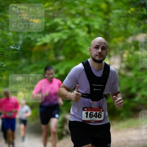 28.09.2025 - 33. Volkslauf durch das schöne Alstertal Patografie http://msf.ph/oto/8966830 28.09.2025 10:17:11 Laufen 1646 meine-sportfotos.de