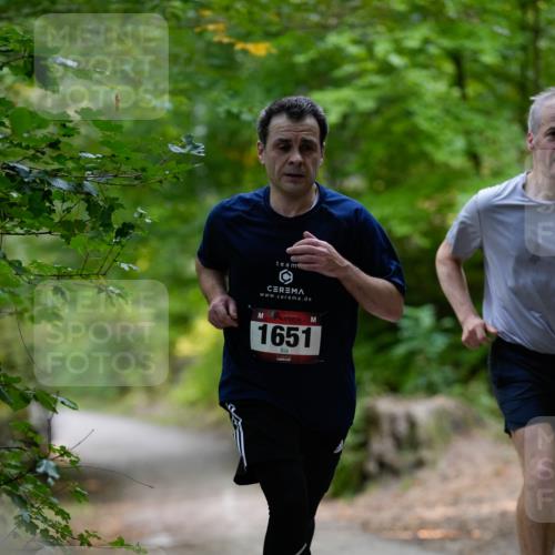 28.09.2025 - 33. Volkslauf durch das schöne Alstertal Patografie http://msf.ph/oto/8966831 28.09.2025 10:17:17 Laufen 1651 meine-sportfotos.de