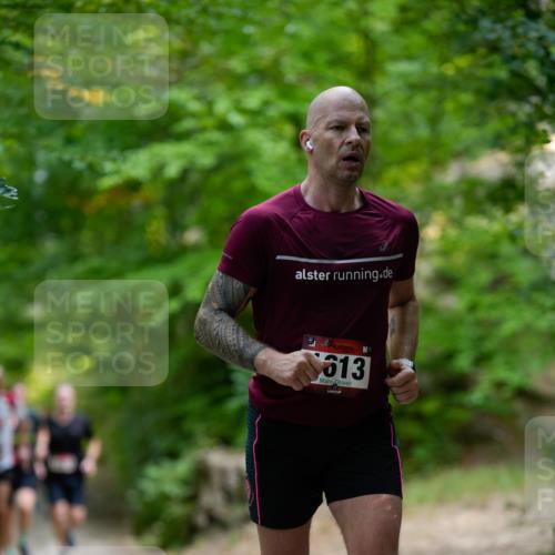 28.09.2025 - 33. Volkslauf durch das schöne Alstertal Patografie http://msf.ph/oto/8966833 28.09.2025 10:17:46 Laufen 1613 meine-sportfotos.de