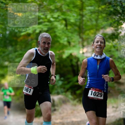 28.09.2025 - 33. Volkslauf durch das schöne Alstertal Patografie http://msf.ph/oto/8966838 28.09.2025 10:17:54 Laufen 2, 661, 1029 meine-sportfotos.de