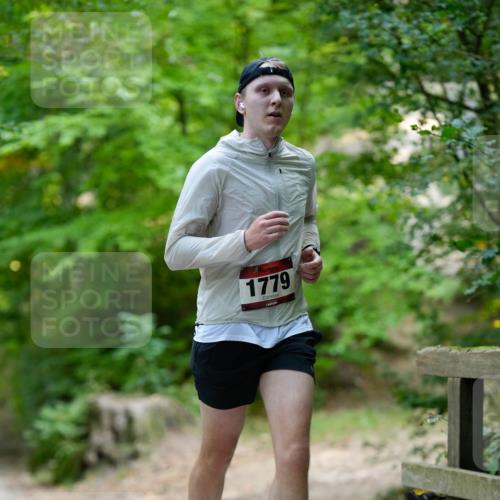 28.09.2025 - 33. Volkslauf durch das schöne Alstertal Patografie http://msf.ph/oto/8966841 28.09.2025 10:18:18 Laufen 1779 meine-sportfotos.de