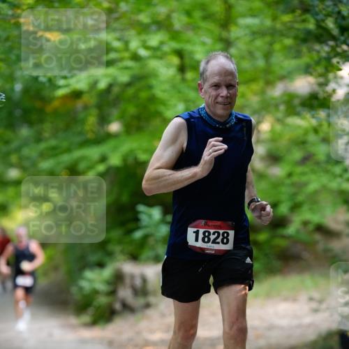 28.09.2025 - 33. Volkslauf durch das schöne Alstertal Patografie http://msf.ph/oto/8966843 28.09.2025 10:18:26 Laufen 2, 1828 meine-sportfotos.de