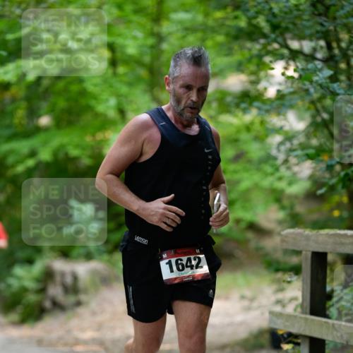 28.09.2025 - 33. Volkslauf durch das schöne Alstertal Patografie http://msf.ph/oto/8966844 28.09.2025 10:18:31 Laufen 1642 meine-sportfotos.de
