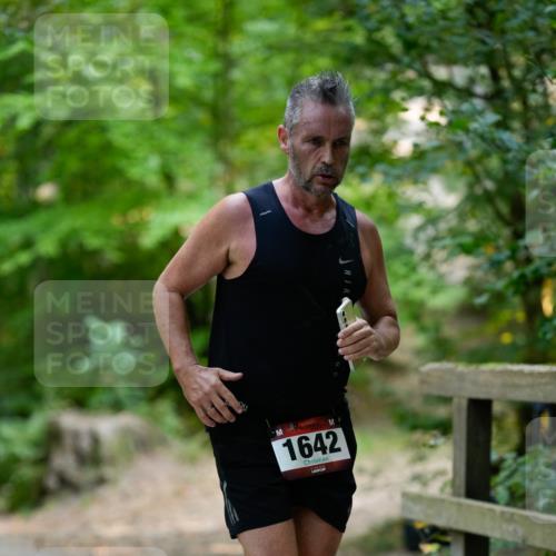 28.09.2025 - 33. Volkslauf durch das schöne Alstertal Patografie http://msf.ph/oto/8966846 28.09.2025 10:18:32 Laufen 1642 meine-sportfotos.de