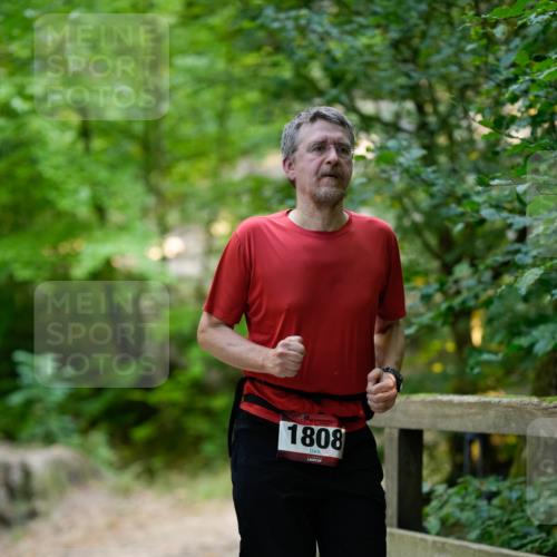 28.09.2025 - 33. Volkslauf durch das schöne Alstertal Patografie http://msf.ph/oto/8967194 28.09.2025 10:18:37 Laufen 1808 meine-sportfotos.de