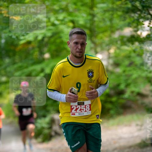 28.09.2025 - 33. Volkslauf durch das schöne Alstertal Patografie http://msf.ph/oto/8967196 28.09.2025 10:19:10 Laufen 2258 meine-sportfotos.de
