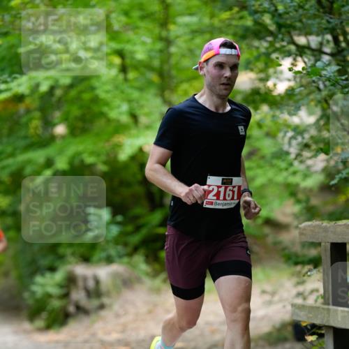 28.09.2025 - 33. Volkslauf durch das schöne Alstertal Patografie http://msf.ph/oto/8967198 28.09.2025 10:19:13 Laufen 2161 meine-sportfotos.de