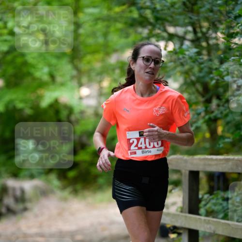 28.09.2025 - 33. Volkslauf durch das schöne Alstertal Patografie http://msf.ph/oto/8967205 28.09.2025 10:19:28 Laufen 2400 meine-sportfotos.de