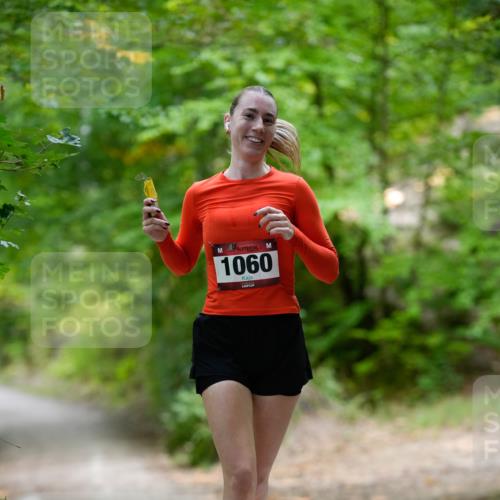28.09.2025 - 33. Volkslauf durch das schöne Alstertal Patografie http://msf.ph/oto/8967209 28.09.2025 10:19:39 Laufen 1060 meine-sportfotos.de