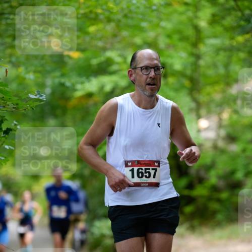 28.09.2025 - 33. Volkslauf durch das schöne Alstertal Patografie http://msf.ph/oto/8967216 28.09.2025 10:19:59 Laufen 1657 meine-sportfotos.de