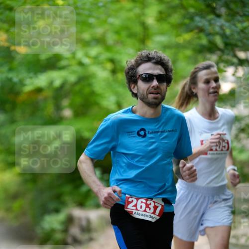 28.09.2025 - 33. Volkslauf durch das schöne Alstertal Patografie http://msf.ph/oto/8967219 28.09.2025 10:20:08 Laufen 2637, 05 meine-sportfotos.de