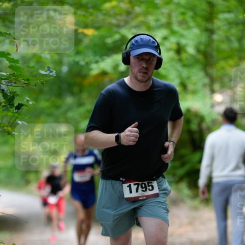 28.09.2025 - 33. Volkslauf durch das schöne Alstertal Patografie http://msf.ph/oto/8967221 28.09.2025 10:20:56 Laufen 1795 meine-sportfotos.de