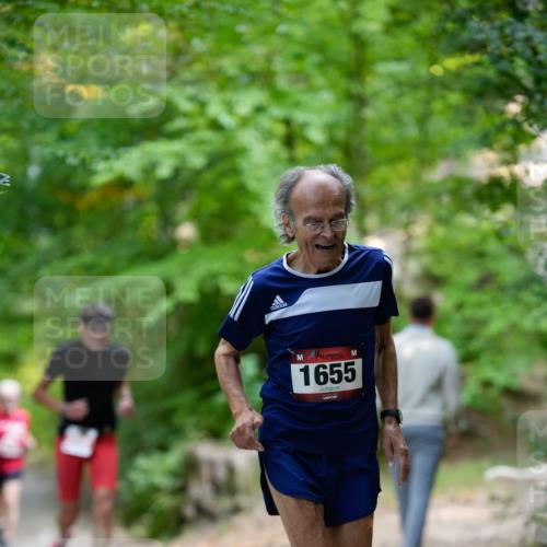 28.09.2025 - 33. Volkslauf durch das schöne Alstertal Patografie http://msf.ph/oto/8967223 28.09.2025 10:20:59 Laufen 1655 meine-sportfotos.de