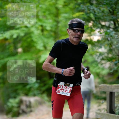 28.09.2025 - 33. Volkslauf durch das schöne Alstertal Patografie http://msf.ph/oto/8967225 28.09.2025 10:21:01 Laufen 2591 meine-sportfotos.de