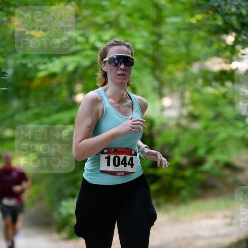 28.09.2025 - 33. Volkslauf durch das schöne Alstertal Patografie http://msf.ph/oto/8967233 28.09.2025 10:21:44 Laufen 1044 meine-sportfotos.de