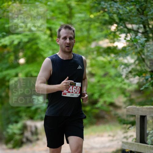 28.09.2025 - 33. Volkslauf durch das schöne Alstertal Patografie http://msf.ph/oto/8967237 28.09.2025 10:21:50 Laufen 460 meine-sportfotos.de
