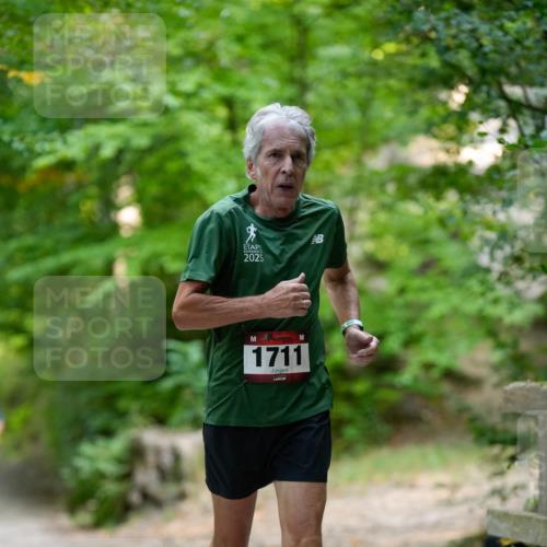 28.09.2025 - 33. Volkslauf durch das schöne Alstertal Patografie http://msf.ph/oto/8967242 28.09.2025 10:22:28 Laufen 2025, 1711 meine-sportfotos.de
