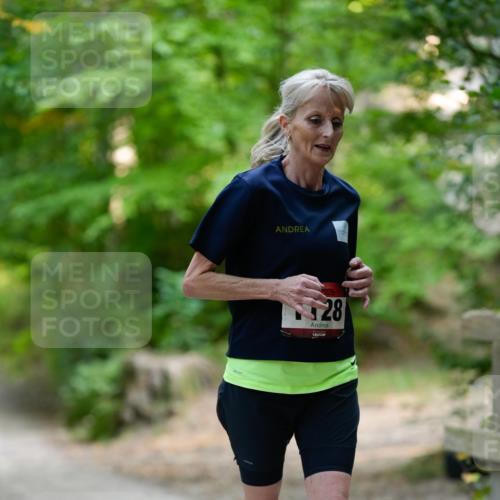 28.09.2025 - 33. Volkslauf durch das schöne Alstertal Patografie http://msf.ph/oto/8967248 28.09.2025 10:22:39 Laufen 1128 meine-sportfotos.de