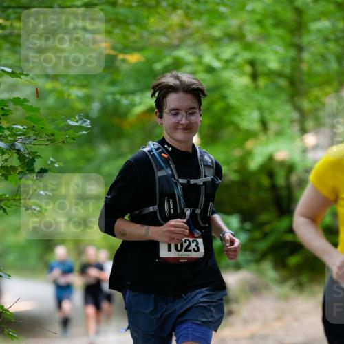 28.09.2025 - 33. Volkslauf durch das schöne Alstertal Patografie http://msf.ph/oto/8967252 28.09.2025 10:22:56 Laufen 1023 meine-sportfotos.de