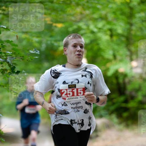 28.09.2025 - 33. Volkslauf durch das schöne Alstertal Patografie http://msf.ph/oto/8967254 28.09.2025 10:23:01 Laufen 2515 meine-sportfotos.de